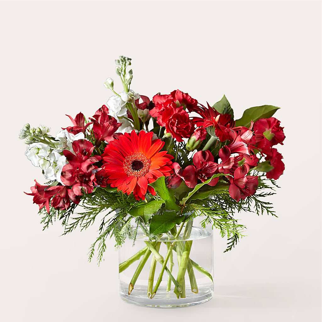 Holidaisy Bouquet – Bird Of Paradise Flowers, Bristol PA