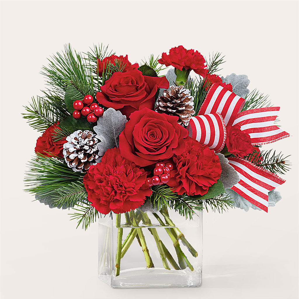 Baking Spirits Bright Bouquet – Bird Of Paradise Flowers, Bristol PA