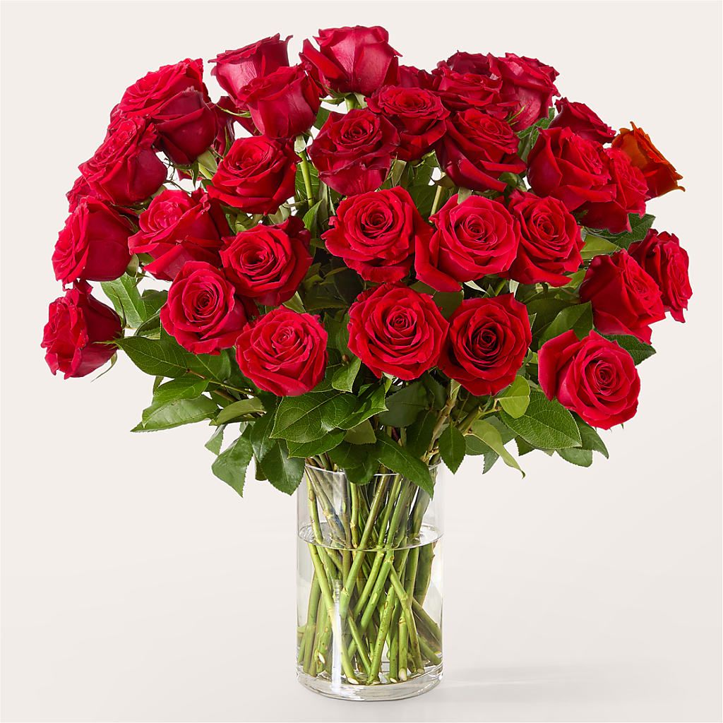 The One Red Rose Bouquet – Bird Of Paradise Flowers, Bristol PA