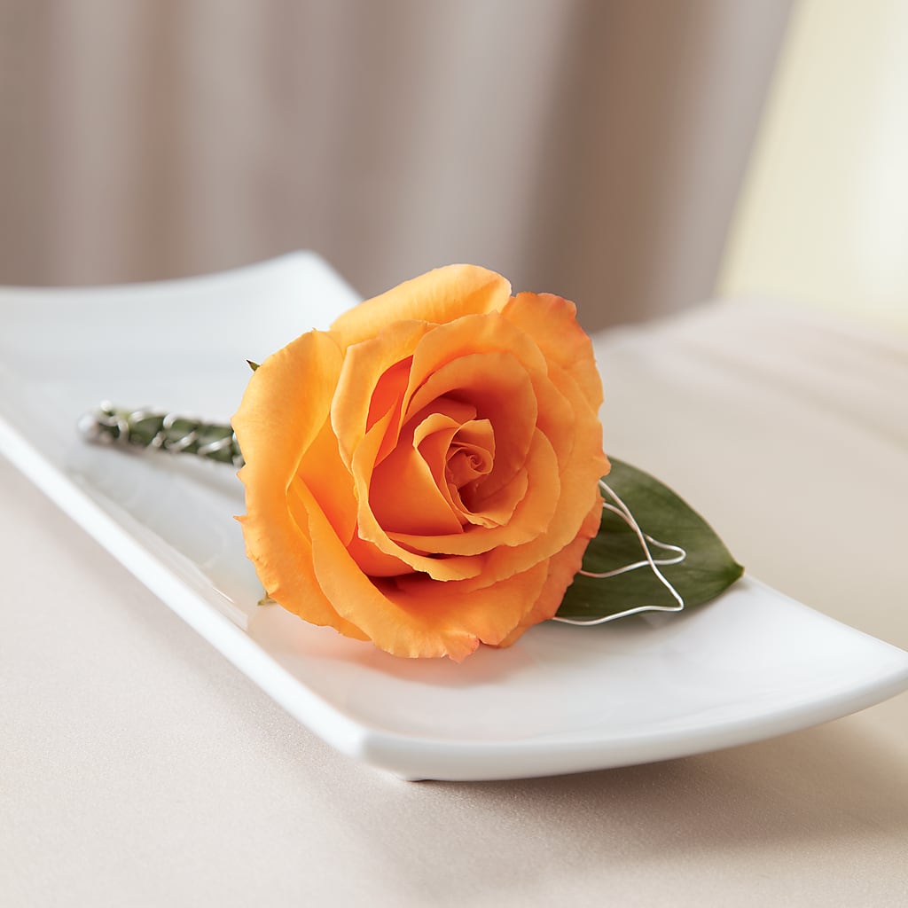 Lifetime of Love Boutonniere – Bird Of Paradise Flowers, Bristol PA