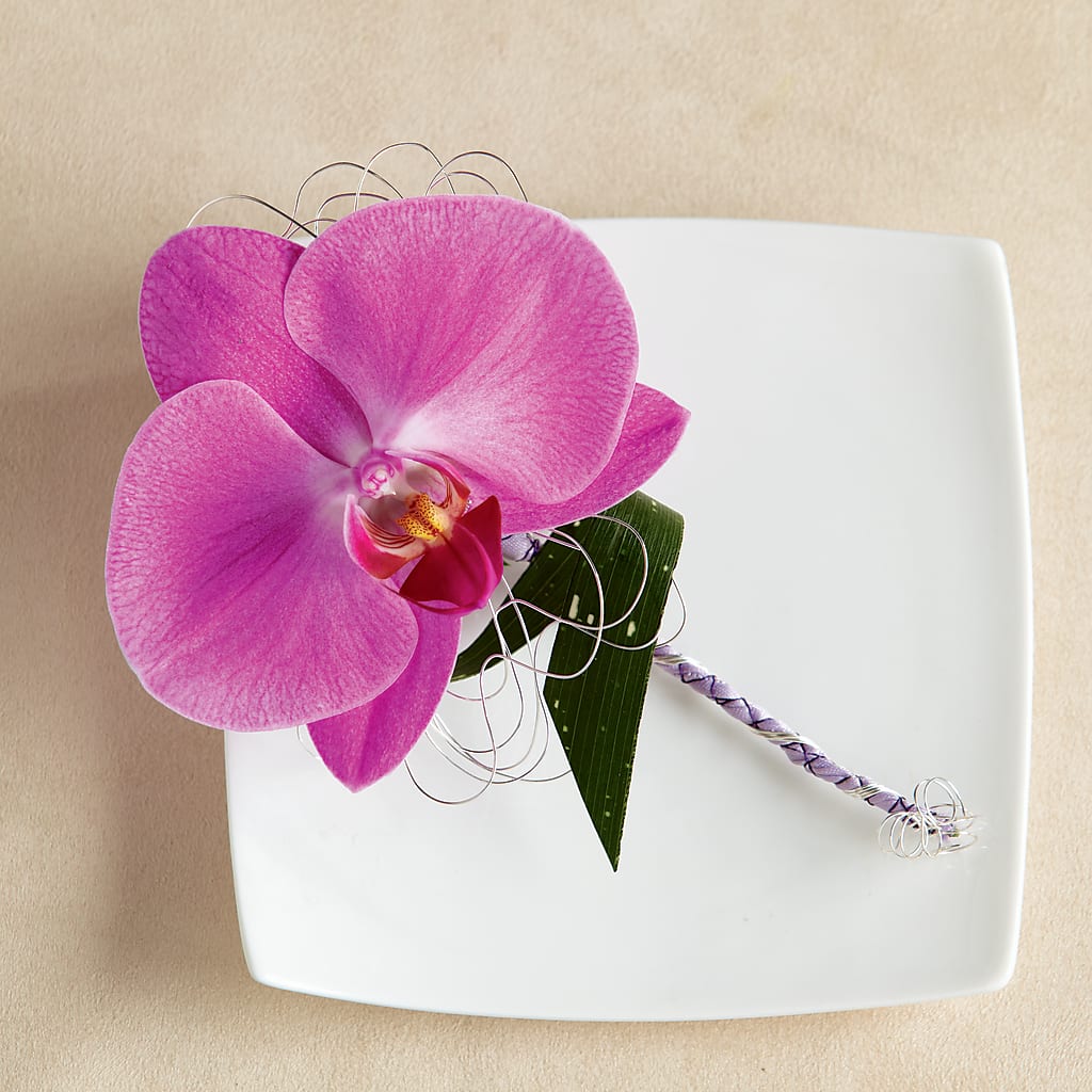 Glorious Boutonniere – Bird Of Paradise Flowers, Bristol PA