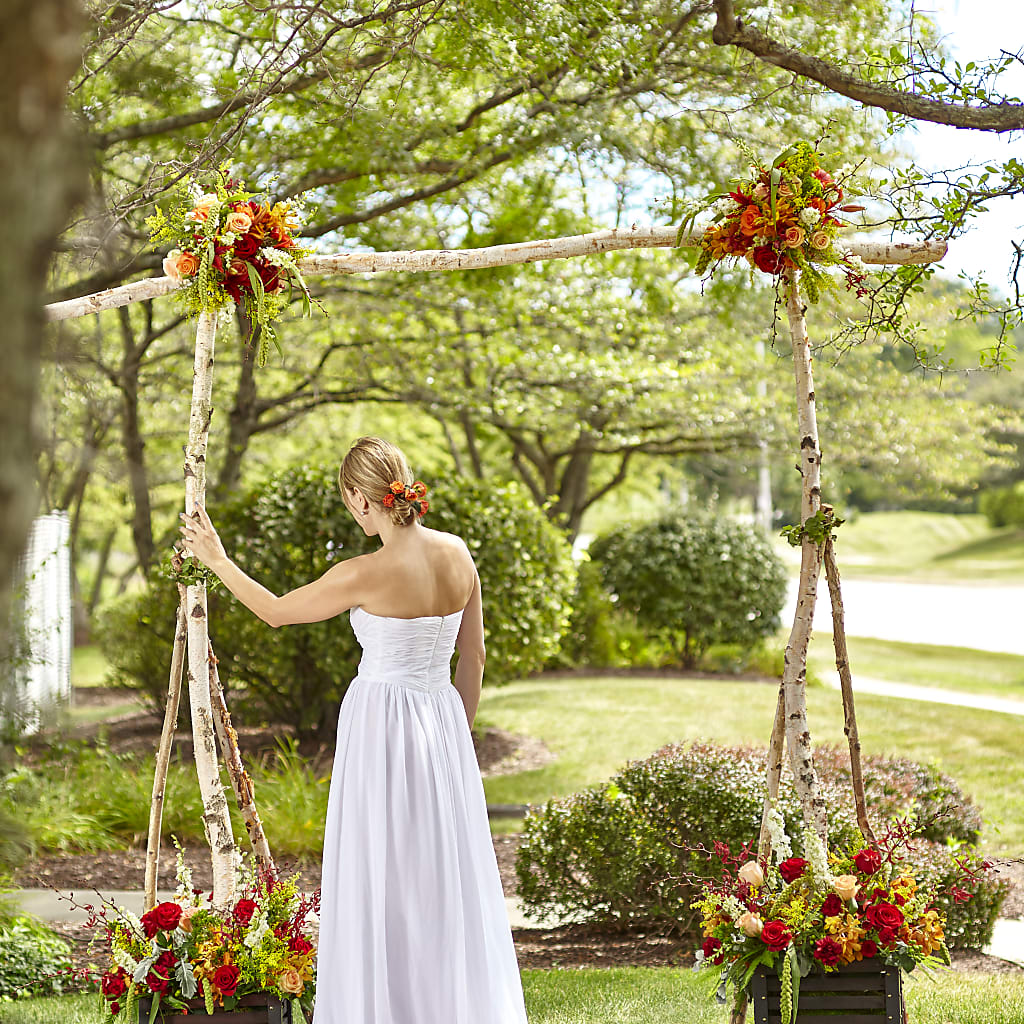 Arbor of Love Archway – Bird Of Paradise Flowers, Bristol PA