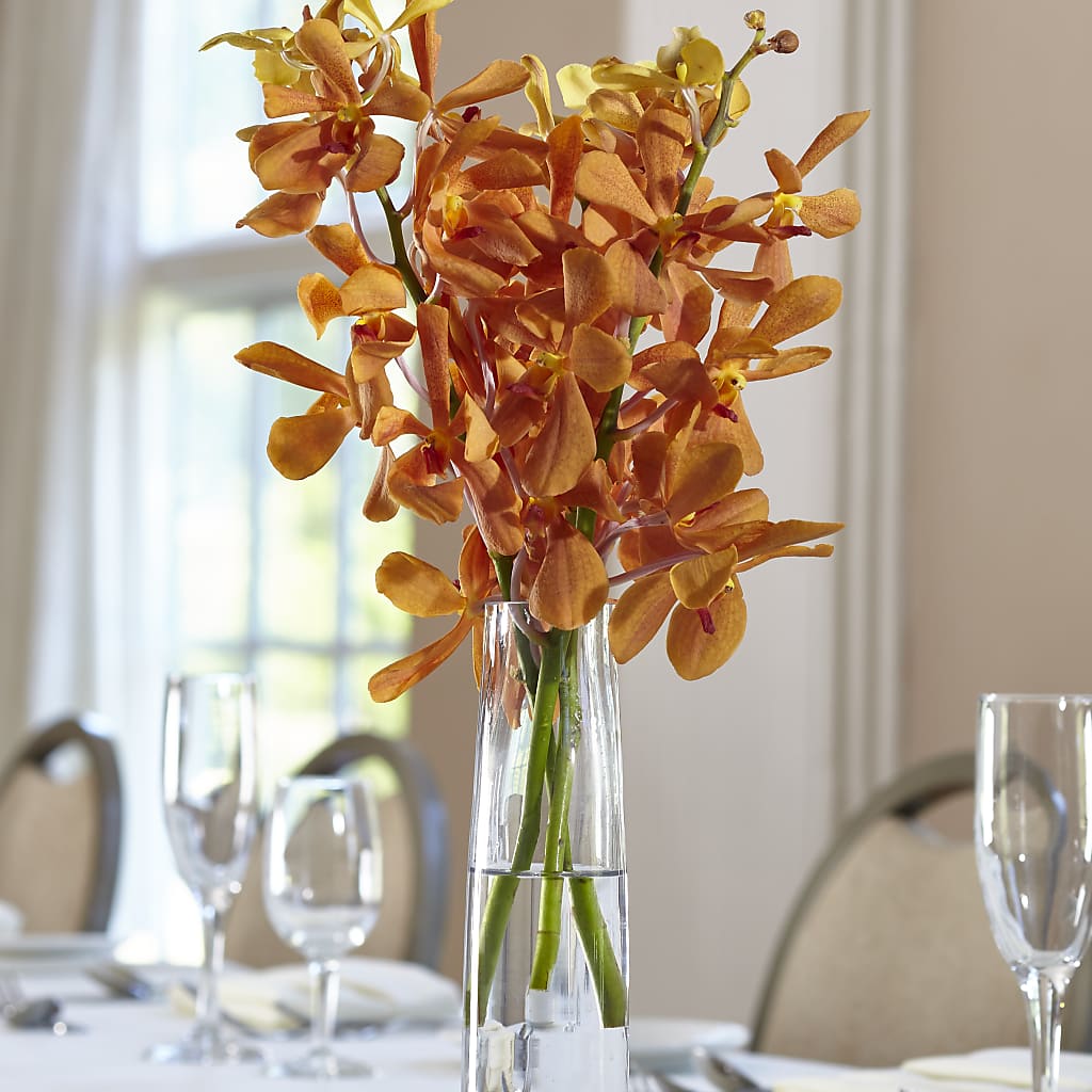 Orange Mokara Bud Vase – Bird Of Paradise Flowers, Bristol PA