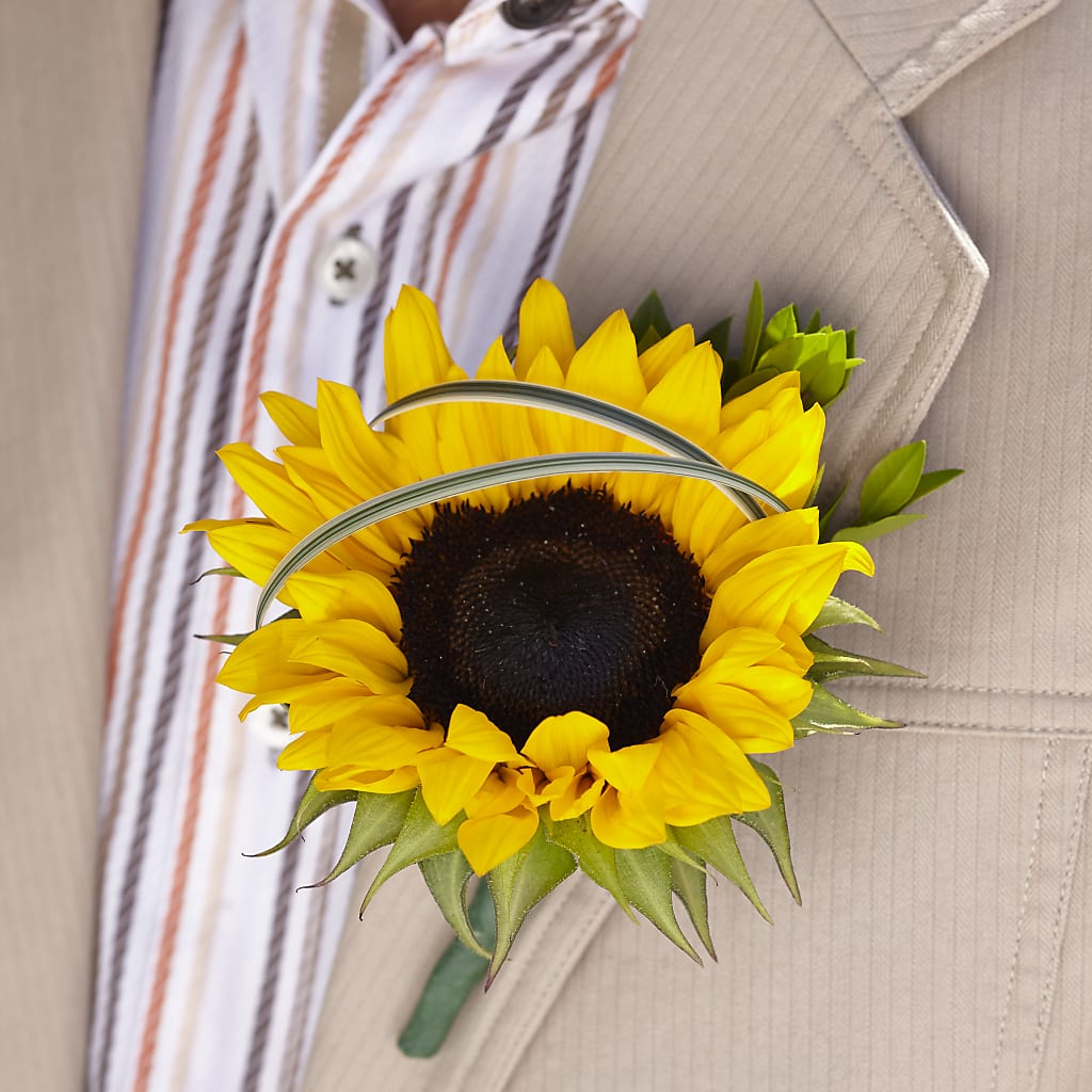 Free Spirit Boutonniere – Bird Of Paradise Flowers, Bristol PA