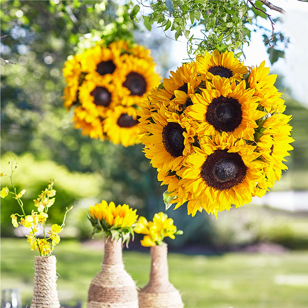 Sublime Garden Hanging Arrangement – Bird Of Paradise Flowers, Bristol PA