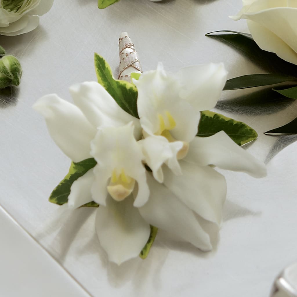 White Mini Cymbidium Boutonniere – Bird Of Paradise Flowers, Bristol PA