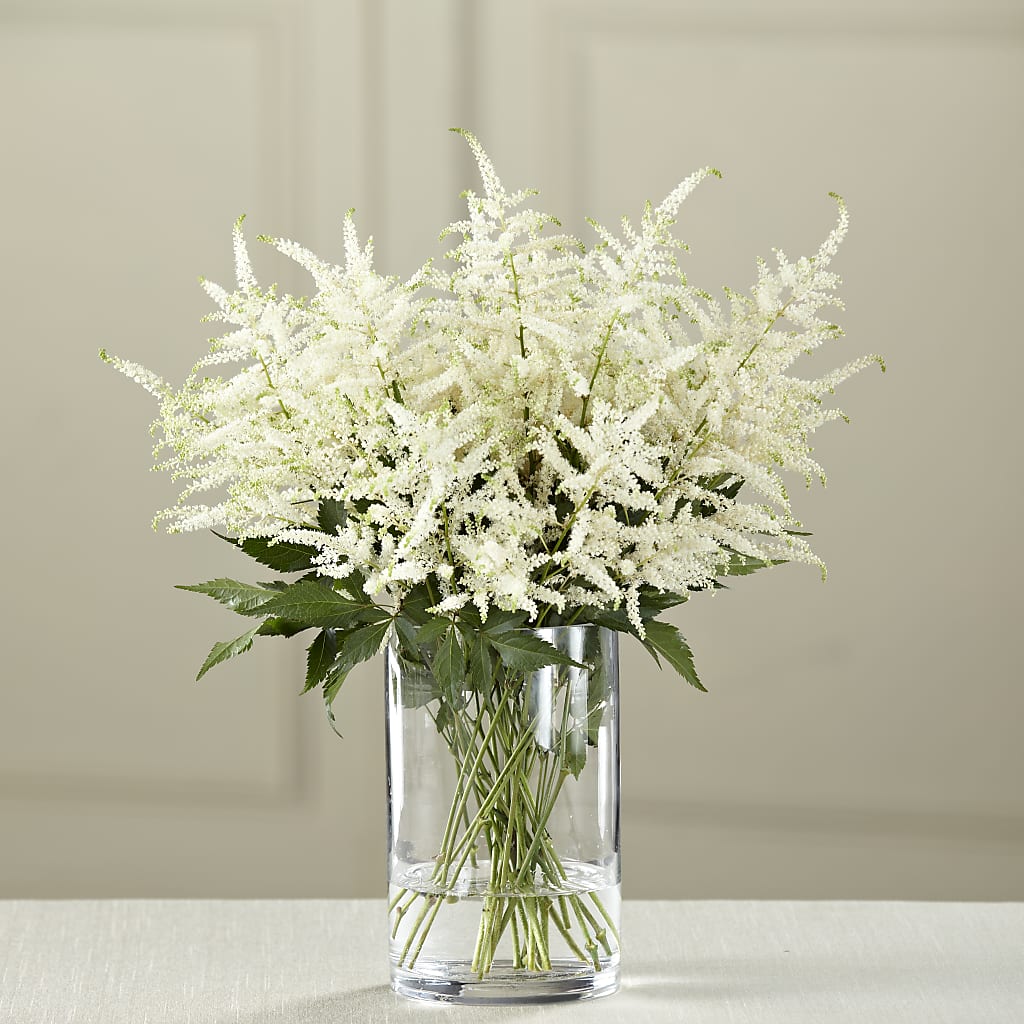 White Astilbe Bouquet – Bird Of Paradise Flowers, Bristol PA