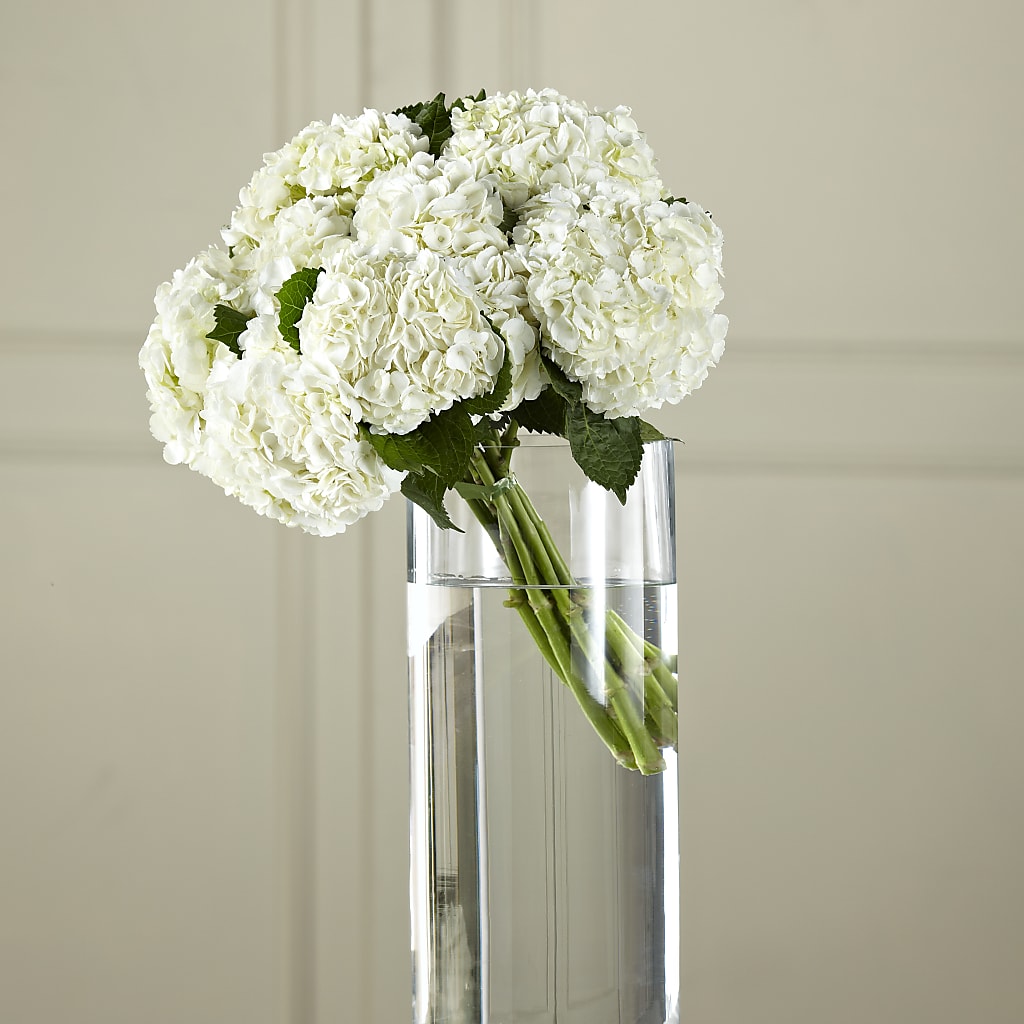 White Hydrangea Hand-Tied Bouquet – Bird Of Paradise Flowers, Bristol PA