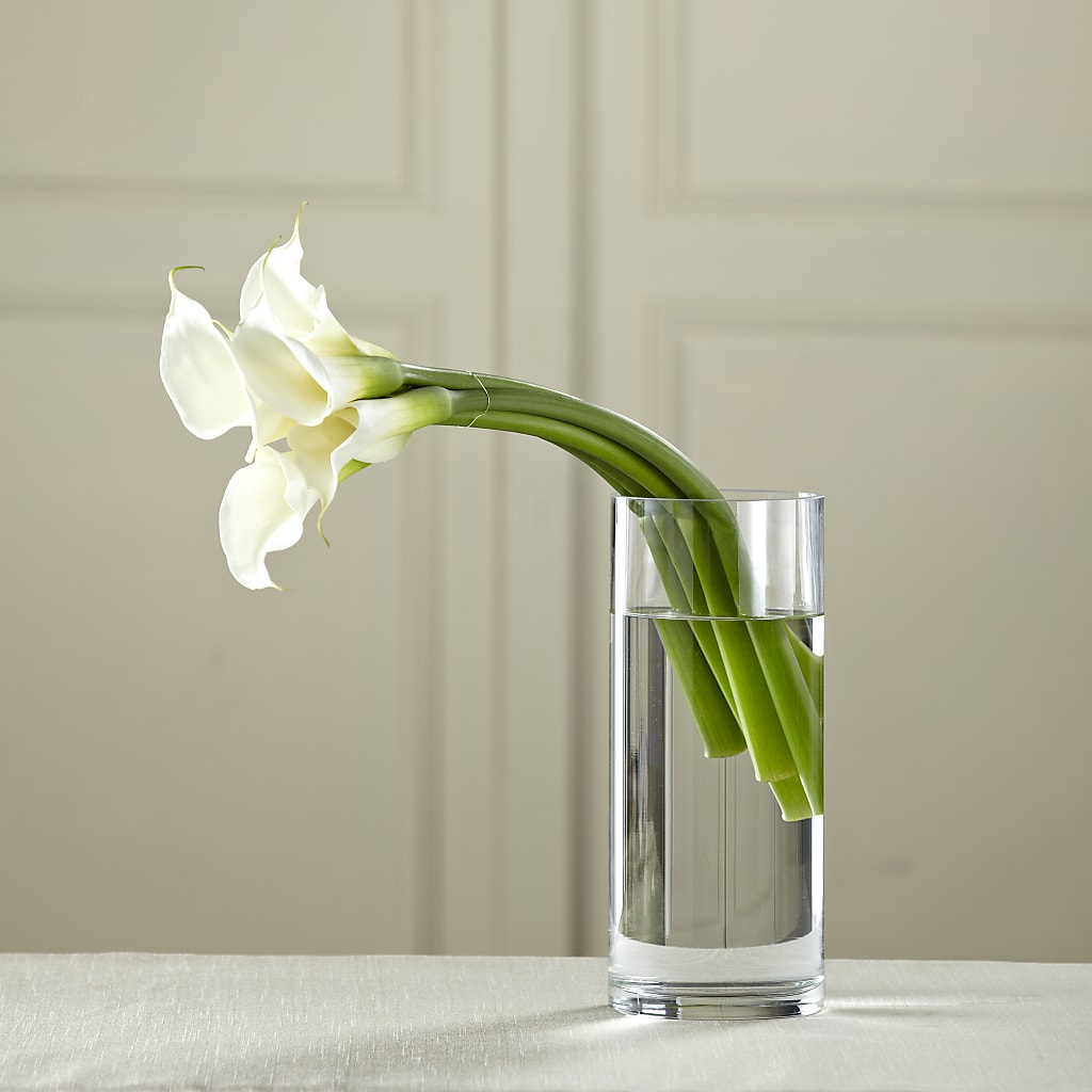White Calla Bouquet – Bird Of Paradise Flowers, Bristol PA