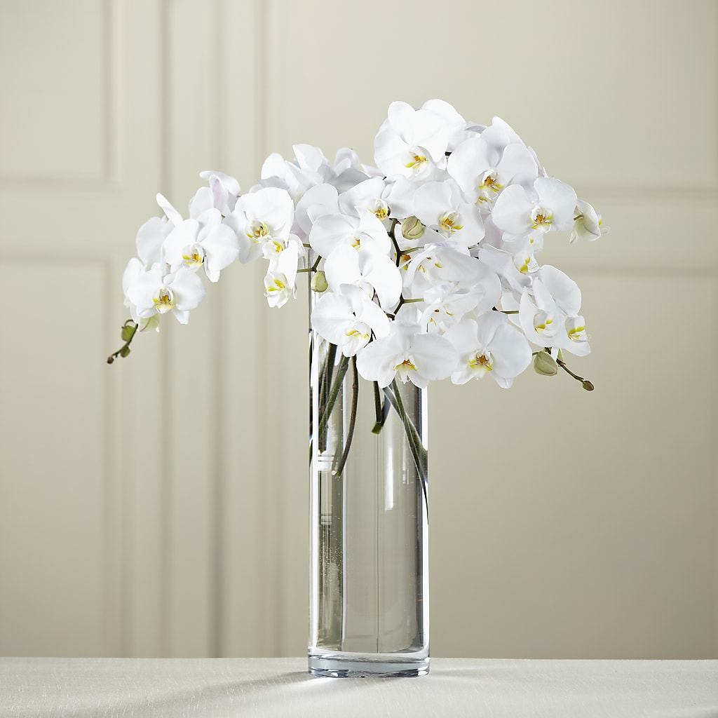 White Phalaenopsis Bouquet – Bird Of Paradise Flowers, Bristol PA