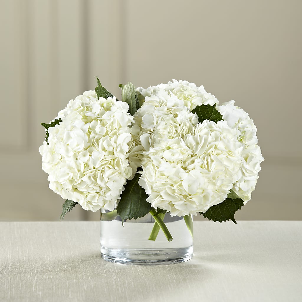 White Hydrangea Bouquet – Bird Of Paradise Flowers, Bristol PA
