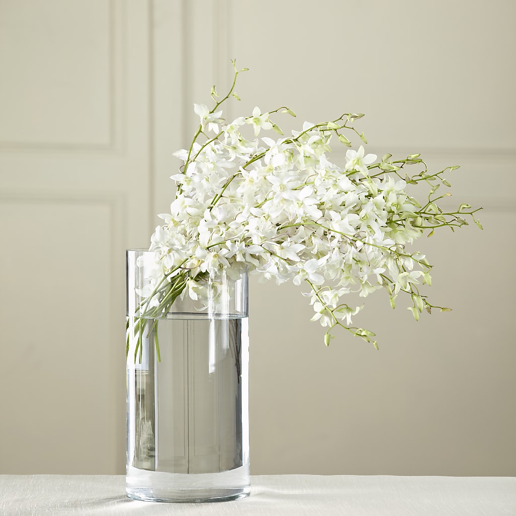 White Dendrobium Bouquet – Bird Of Paradise Flowers, Bristol PA