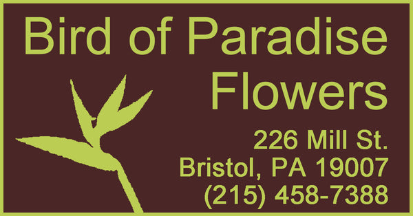 Bird of Paradise Flowers