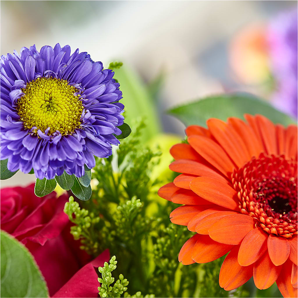Bold & Bright – A Florist Original –  Bird Of Paradise Flowers, Bristol PA