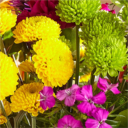Bold & Bright – A Florist Original –  Bird Of Paradise Flowers, Bristol PA