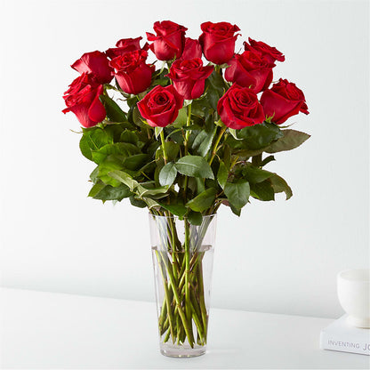 Long Stem Red Rose Bouquet –  Bird Of Paradise Flowers, Bristol PA