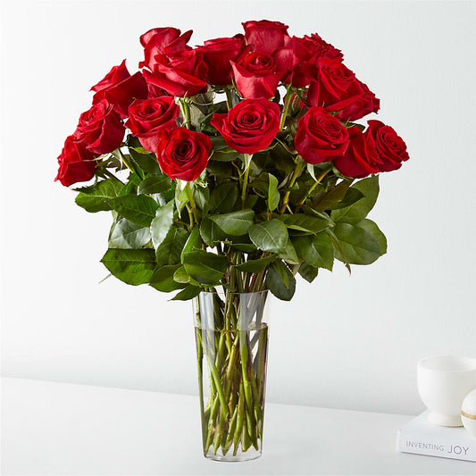 Long Stem Red Rose Bouquet –  Bird Of Paradise Flowers, Bristol PA