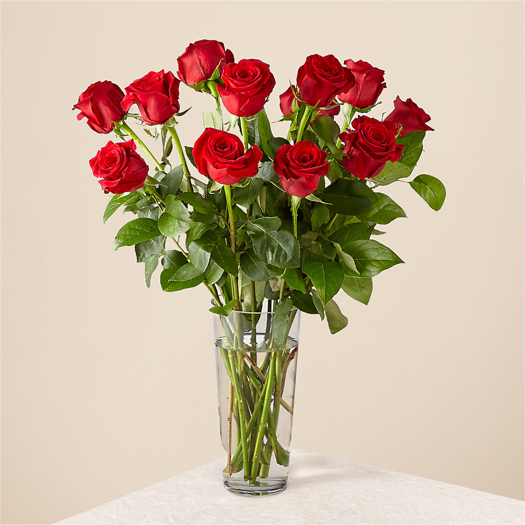 Long Stem Red Rose Bouquet –  Bird Of Paradise Flowers, Bristol PA