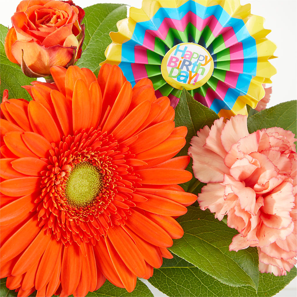 Birthday Surprise Bouquet –  Bird Of Paradise Flowers, Bristol PA
