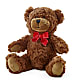 Adorable Plush Bear –  Bird Of Paradise Flowers, Bristol PA