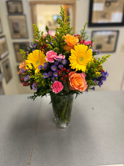 Bright Life –  Bird Of Paradise Flowers, Bristol PA