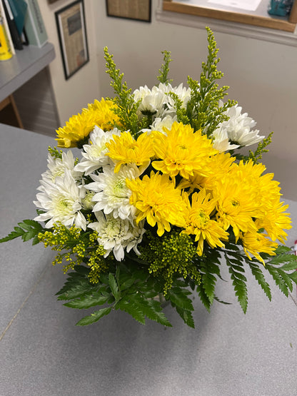 Simple Sunshine –  Bird Of Paradise Flowers, Bristol PA