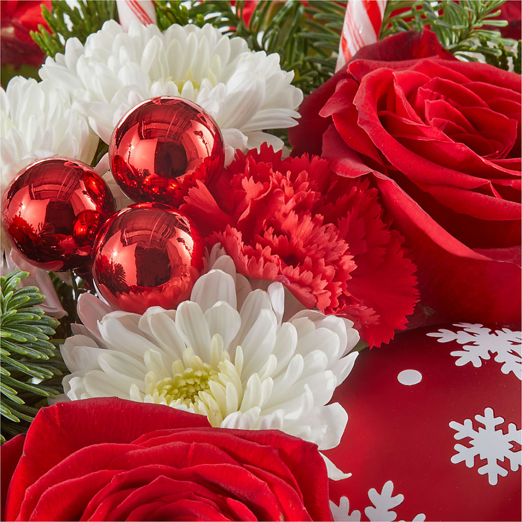 Cheer in the Air Ornament –  Bird Of Paradise Flowers, Bristol PA