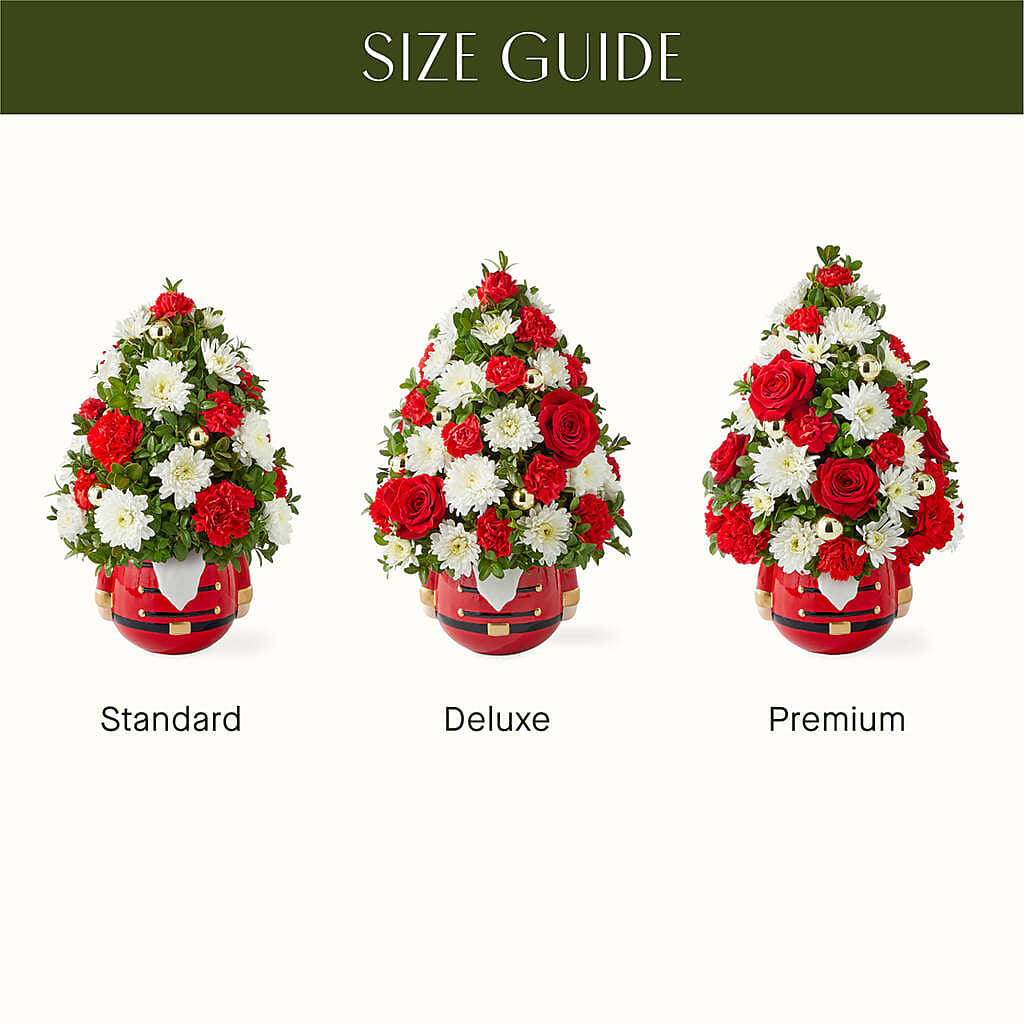 Royal Nutcracker Tree –  Bird Of Paradise Flowers, Bristol PA