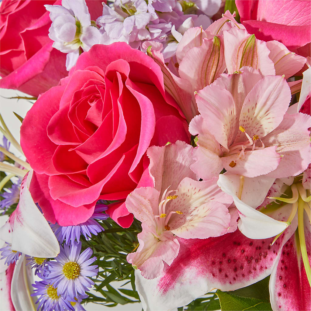 Pressing Petals Bouquet –  Bird Of Paradise Flowers, Bristol PA