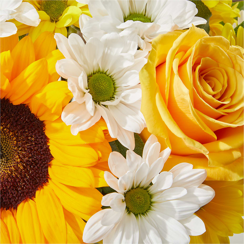 Be Happy Bouquet –  Bird Of Paradise Flowers, Bristol PA