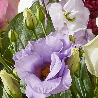 Work of Art Bouquet –  Bird Of Paradise Flowers, Bristol PA