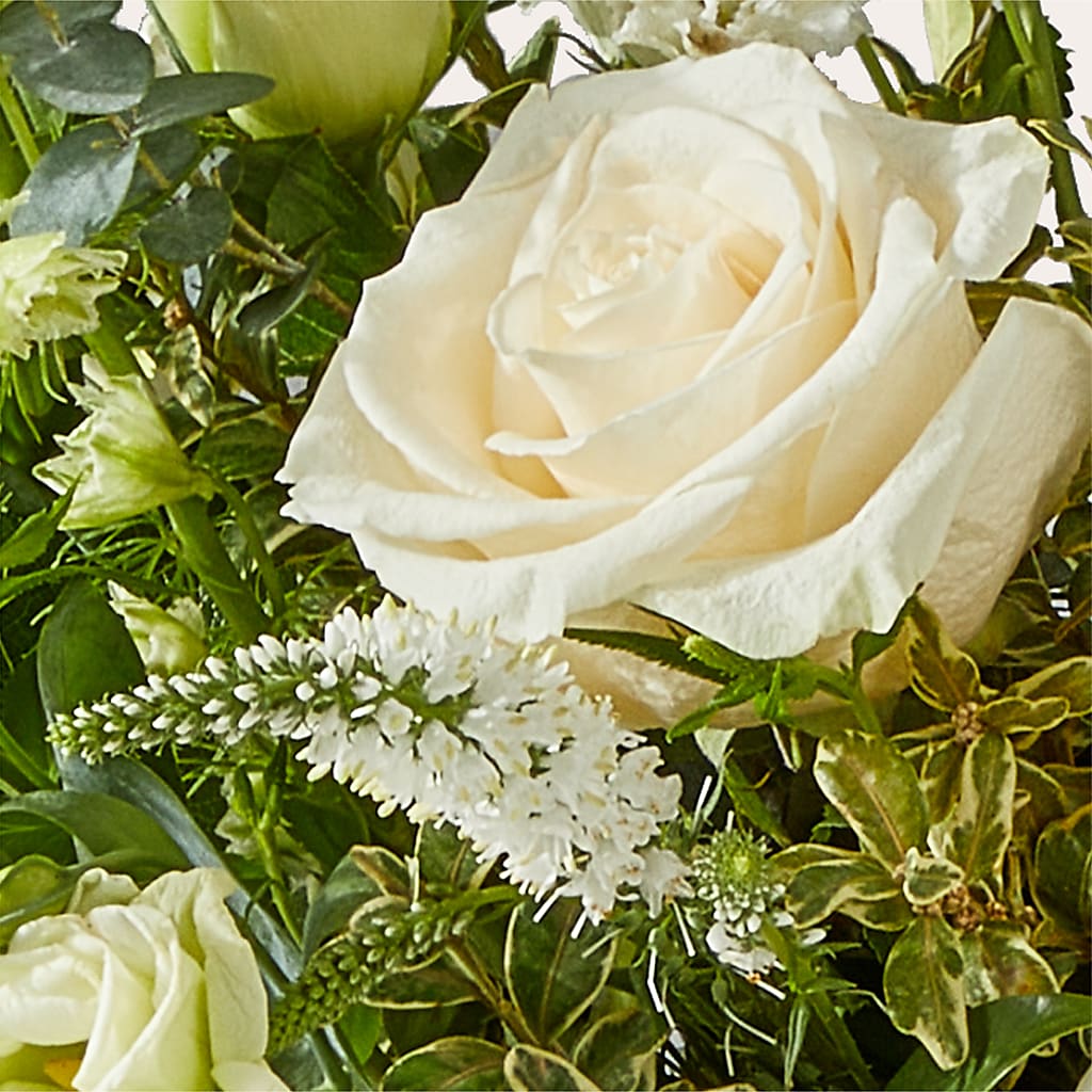 Cashmere Bouquet –  Bird Of Paradise Flowers, Bristol PA