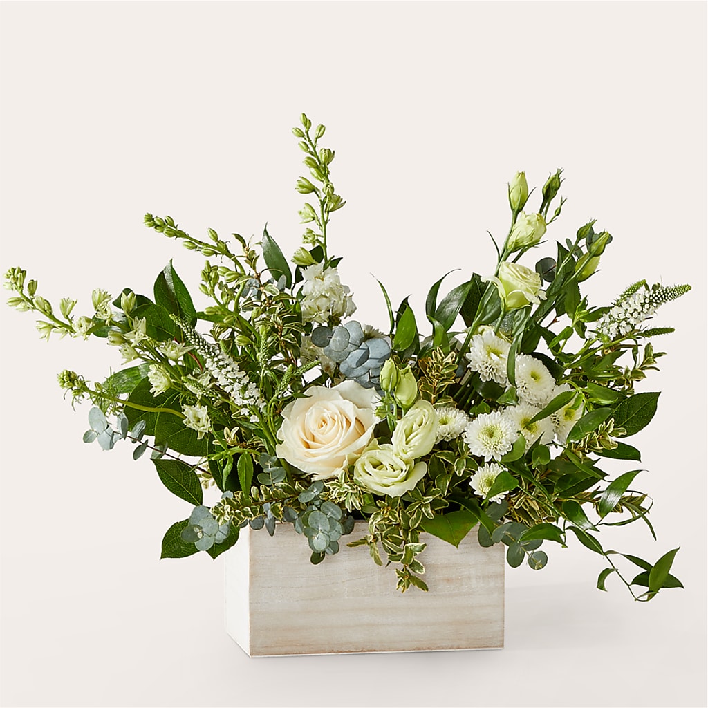 Cashmere Bouquet –  Bird Of Paradise Flowers, Bristol PA