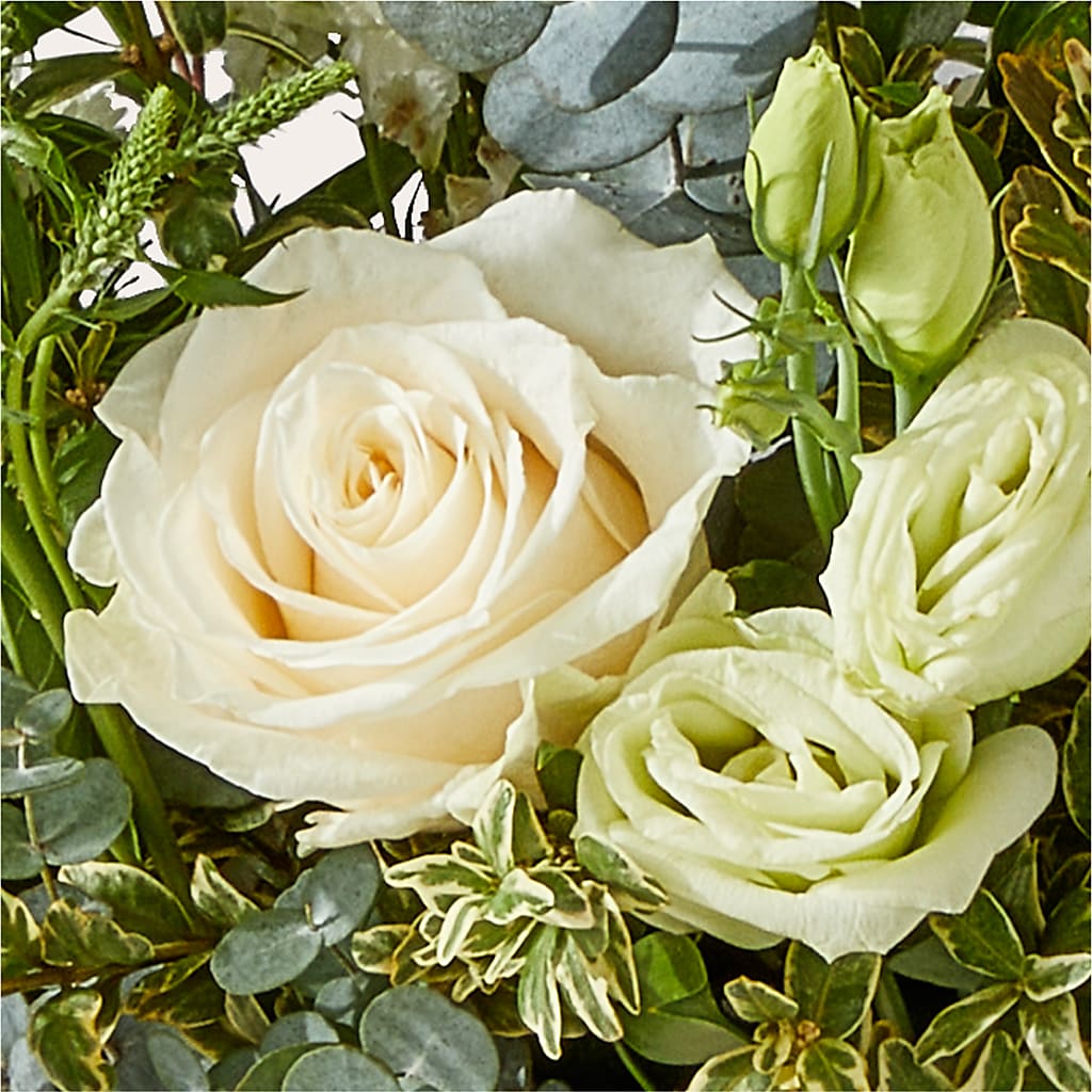 Cashmere Bouquet –  Bird Of Paradise Flowers, Bristol PA