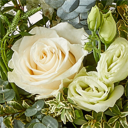 Cashmere Bouquet –  Bird Of Paradise Flowers, Bristol PA
