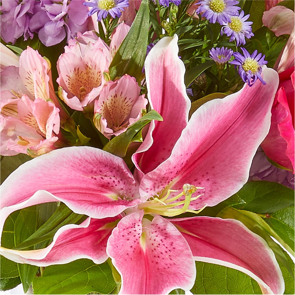 Written in the Stars Bouquet –  Bird Of Paradise Flowers, Bristol PA