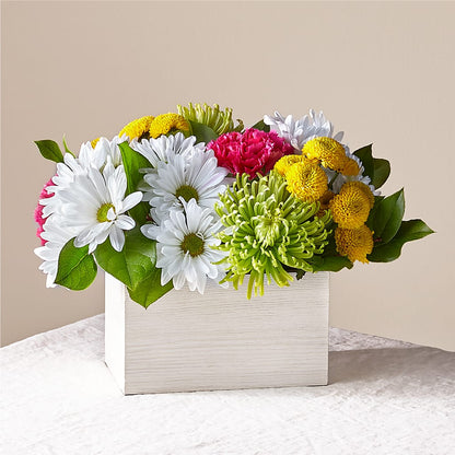 Sorbet Bouquet –  Bird Of Paradise Flowers, Bristol PA