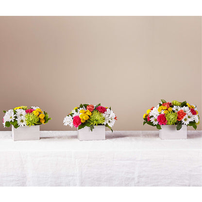 Sorbet Bouquet –  Bird Of Paradise Flowers, Bristol PA