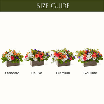 Oopsie Daisy Box Bouquet –  Bird Of Paradise Flowers, Bristol PA