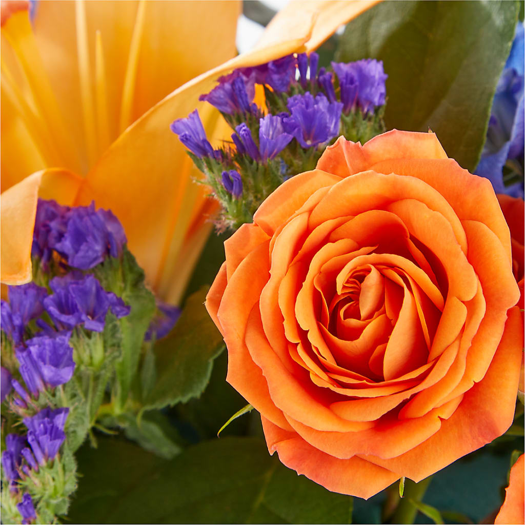 Radiant Citrus Box Bouquet –  Bird Of Paradise Flowers, Bristol PA