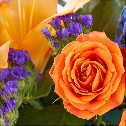 Radiant Citrus Box Bouquet –  Bird Of Paradise Flowers, Bristol PA