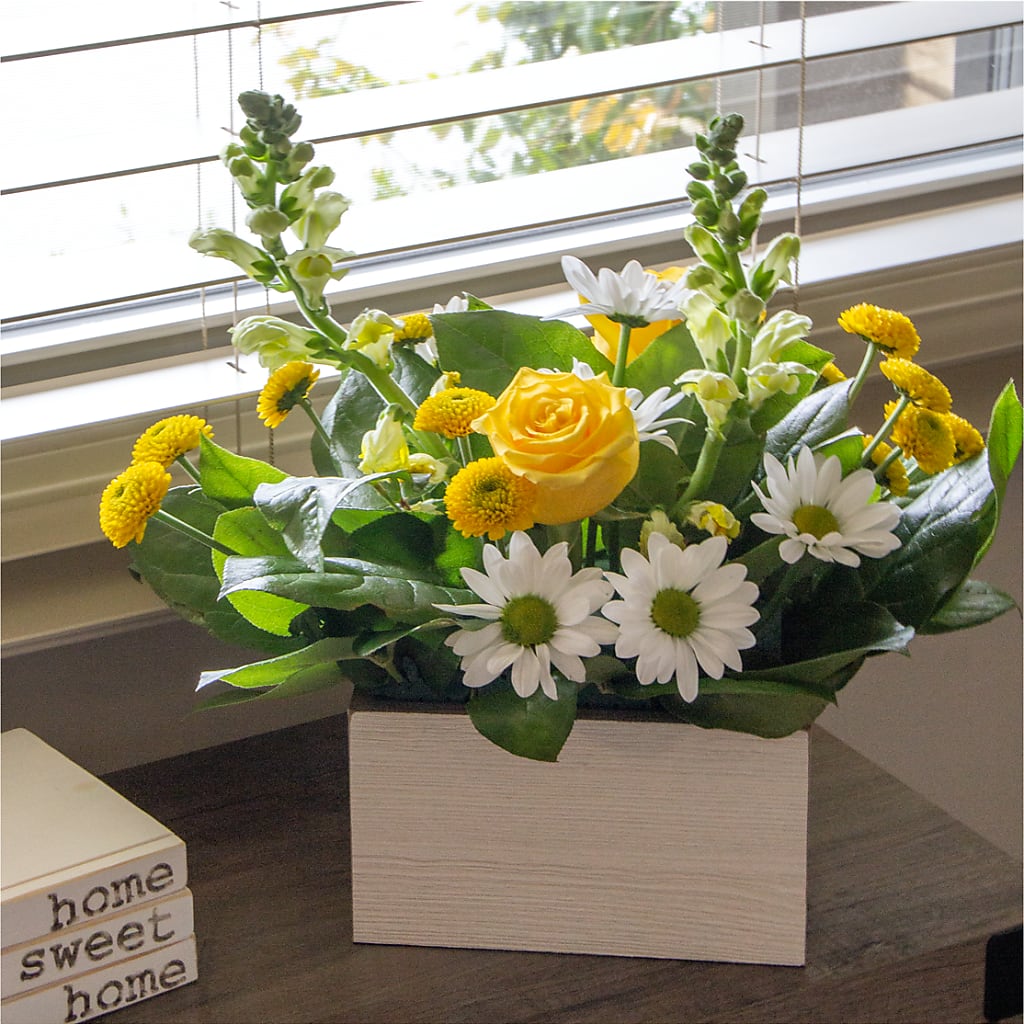 Sun Salutation Box Bouquet –  Bird Of Paradise Flowers, Bristol PA