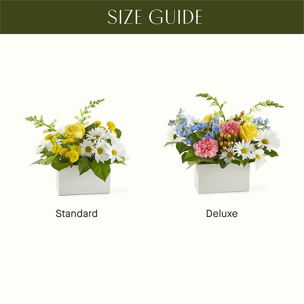 Sun Salutation Box Bouquet –  Bird Of Paradise Flowers, Bristol PA