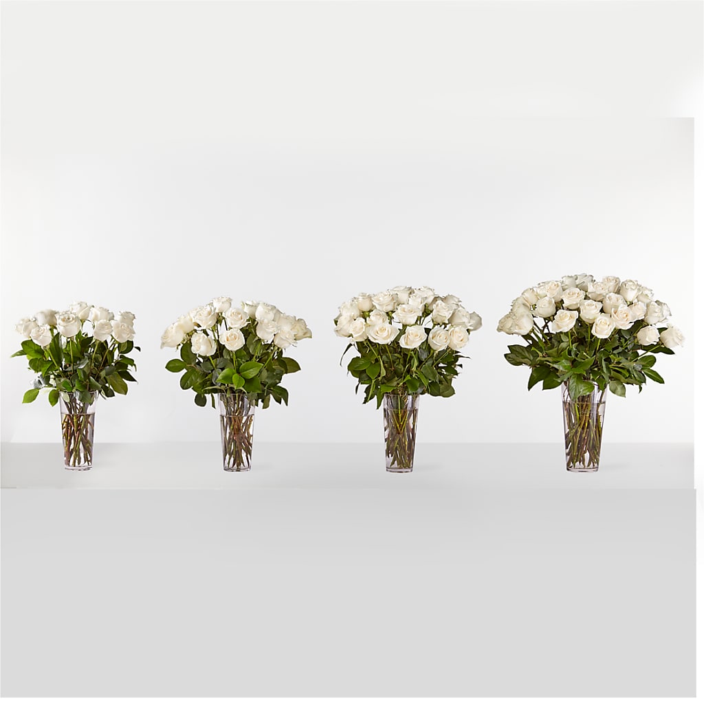 Long Stem White Rose Bouquet –  Bird Of Paradise Flowers, Bristol PA