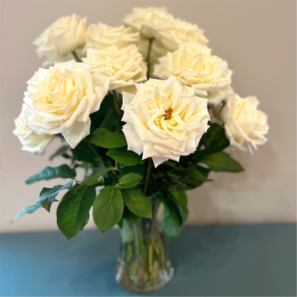 Long Stem Yellow Rose Bouquet –  Bird Of Paradise Flowers, Bristol PA