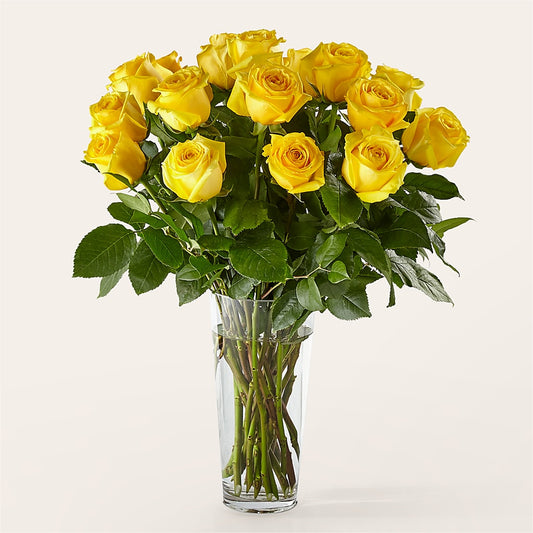 Long Stem Yellow Rose Bouquet –  Bird Of Paradise Flowers, Bristol PA
