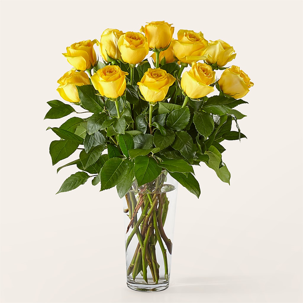 Long Stem Yellow Rose Bouquet –  Bird Of Paradise Flowers, Bristol PA