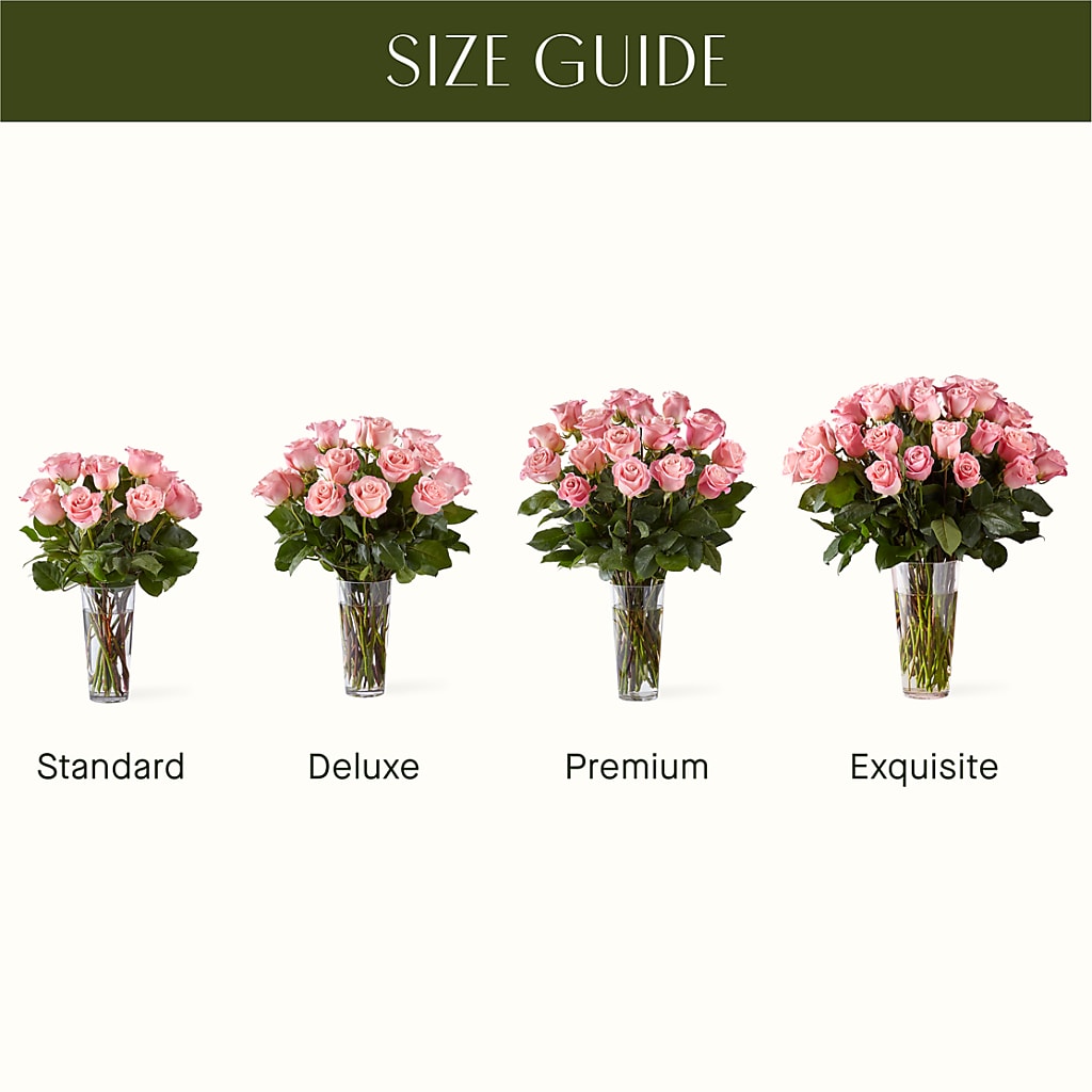 Long Stem Pink Rose Bouquet –  Bird Of Paradise Flowers, Bristol PA