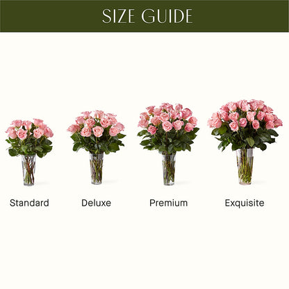 Long Stem Pink Rose Bouquet –  Bird Of Paradise Flowers, Bristol PA