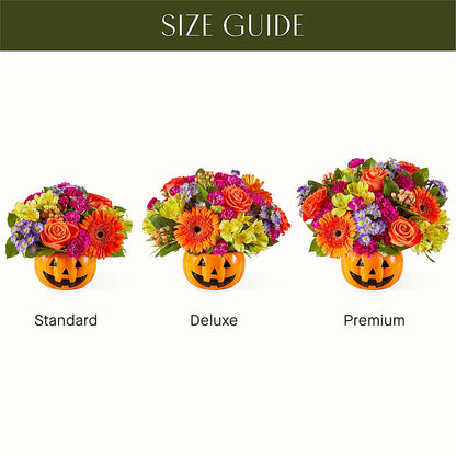 Tricks & Treats Pumpkin –  Bird Of Paradise Flowers, Bristol PA